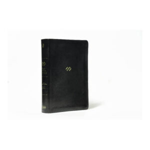 BIBLIA TEMATICA NEGRA DE ESTUDIO RVR60 2