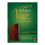 DIARIO VIVIR BIBLIA DE ESTUDIO LETRA GRANDE SENTIPIEL CAFÉ/CAFÉ CLARO NTV