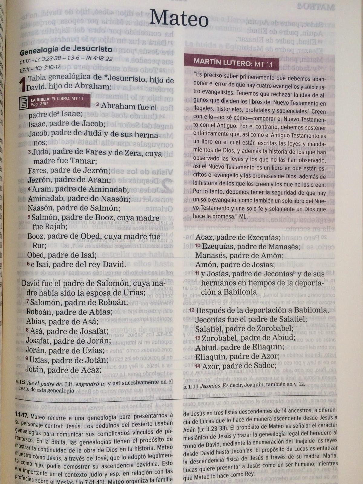 BIBLIA DE ESTUDIO NUEVA REFORMA MIEL