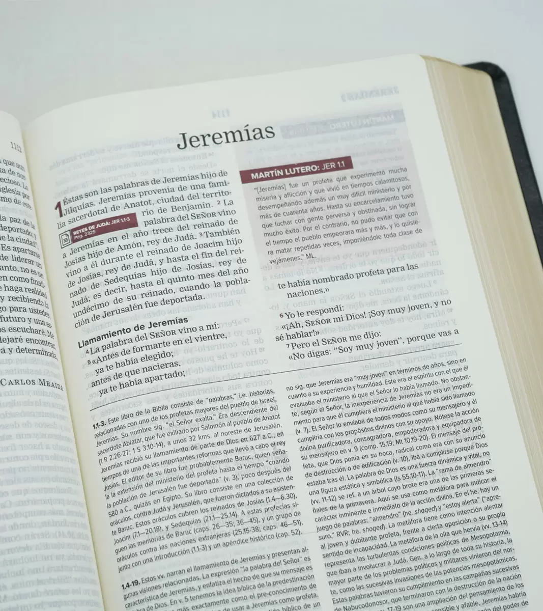 BIBLIA NVI DE ESTUDIO NUEVA REFORMA