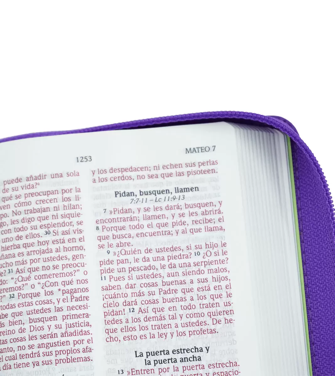 BIBLIA NVI LETRA GRANDE TAMAÑO BOLSILLO CON ZÍPER