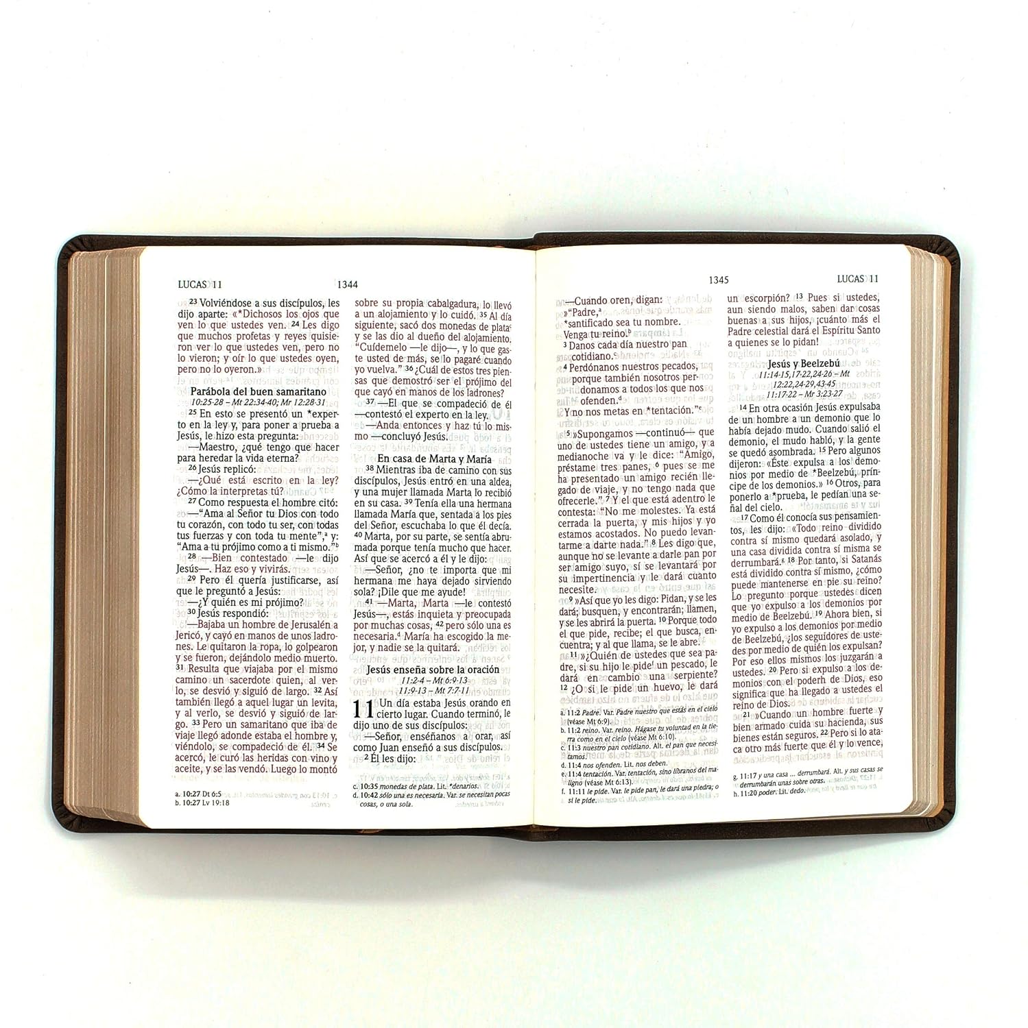 BIBLIA NVI MARRÓN