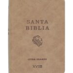 BIBLIA NVI TAMAÑO BOLSILLO CON ZÍPER MARRÓN