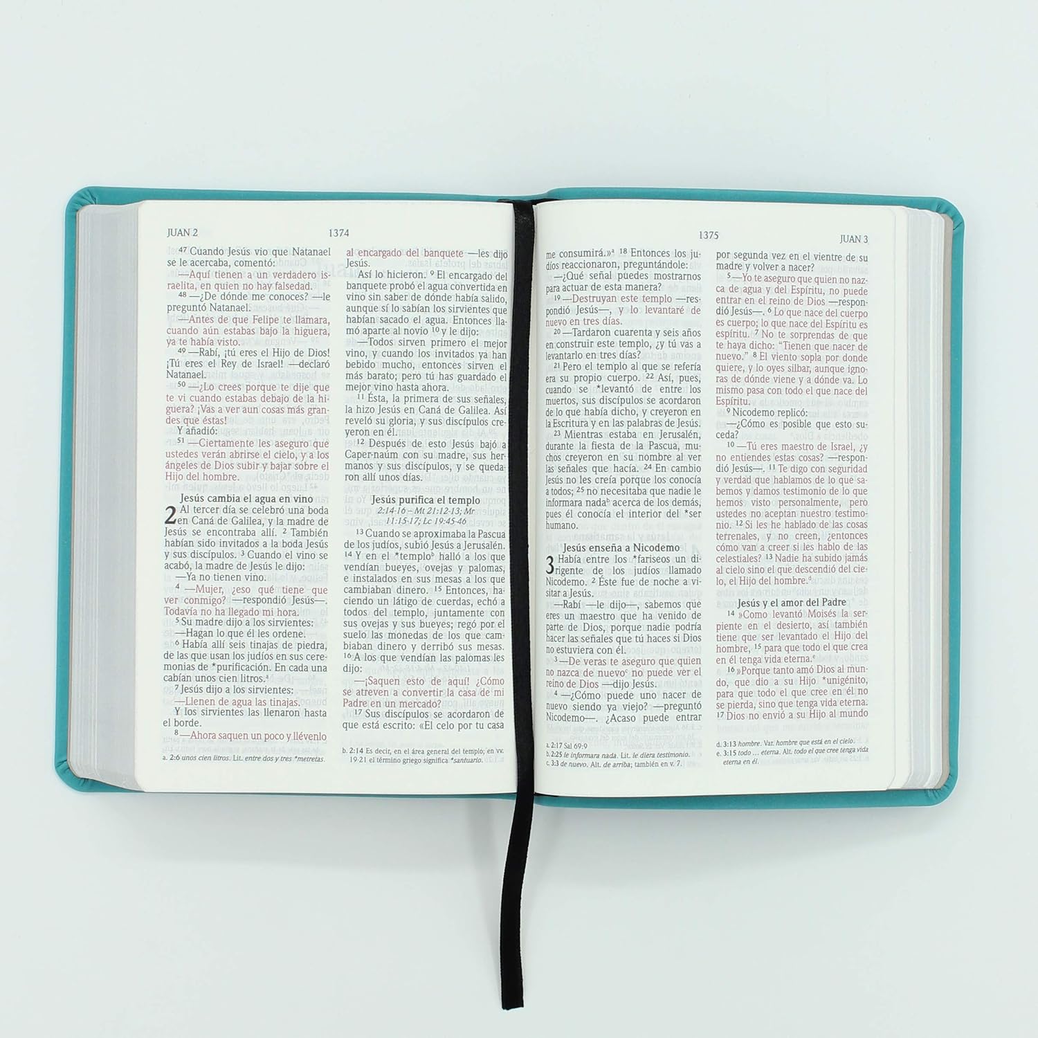 BIBLIA NVI TAMAÑO BOLSILLO TURQUESA
