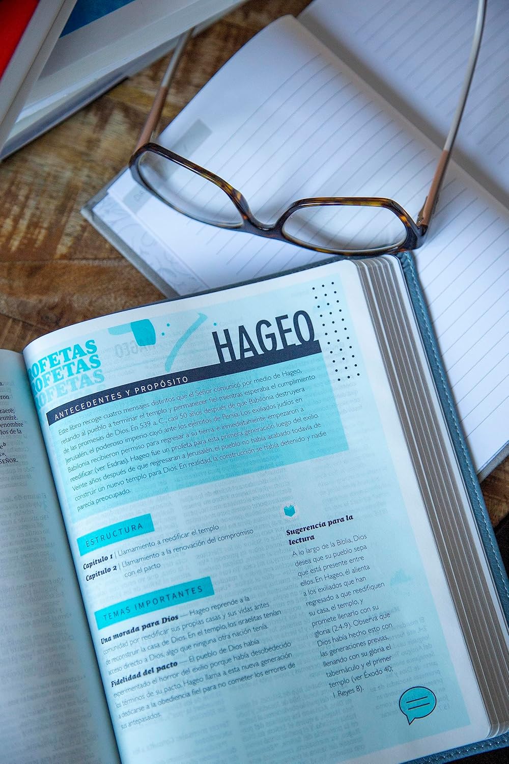 BIBLIA NVI TELOS PARA JÓVENES REVISIÓN 2022