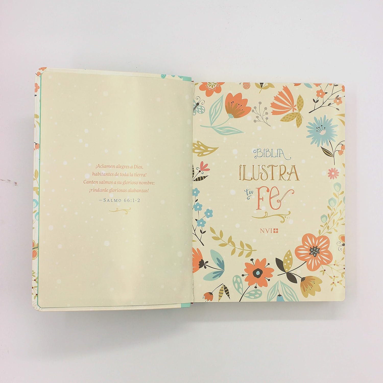 BIBLIA ILUSTRA TU FE