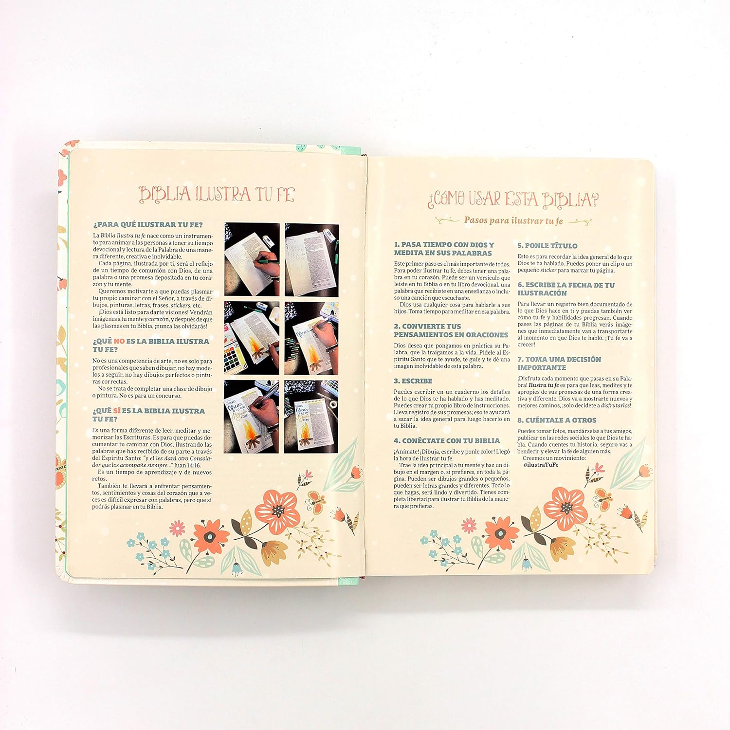 BIBLIA ILUSTRA TU FE