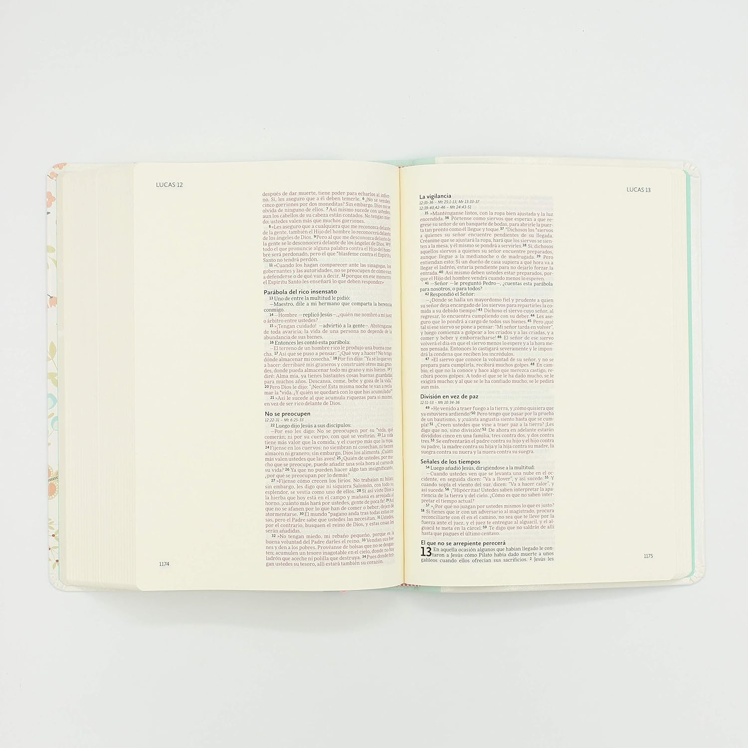 BIBLIA ILUSTRA TU FE